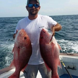 Meet your Posher, Josh